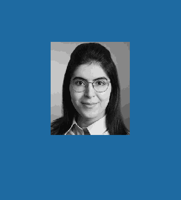 Welcome to our new RSE member Samin Hamidi @ DKRZ